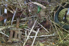 Nest detail